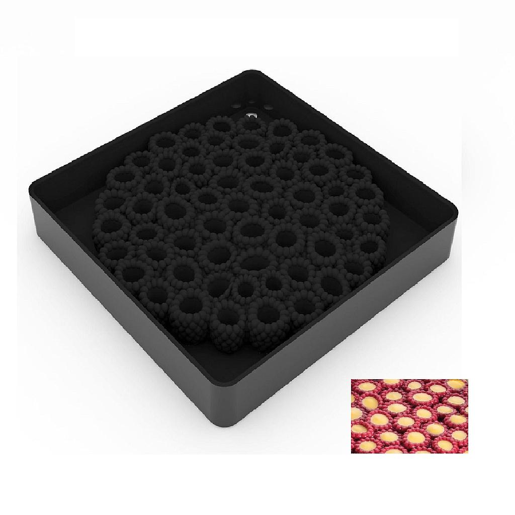 [PI-TOP27] SILICONE MOULD 19x19 RASPBERRY ø180mm